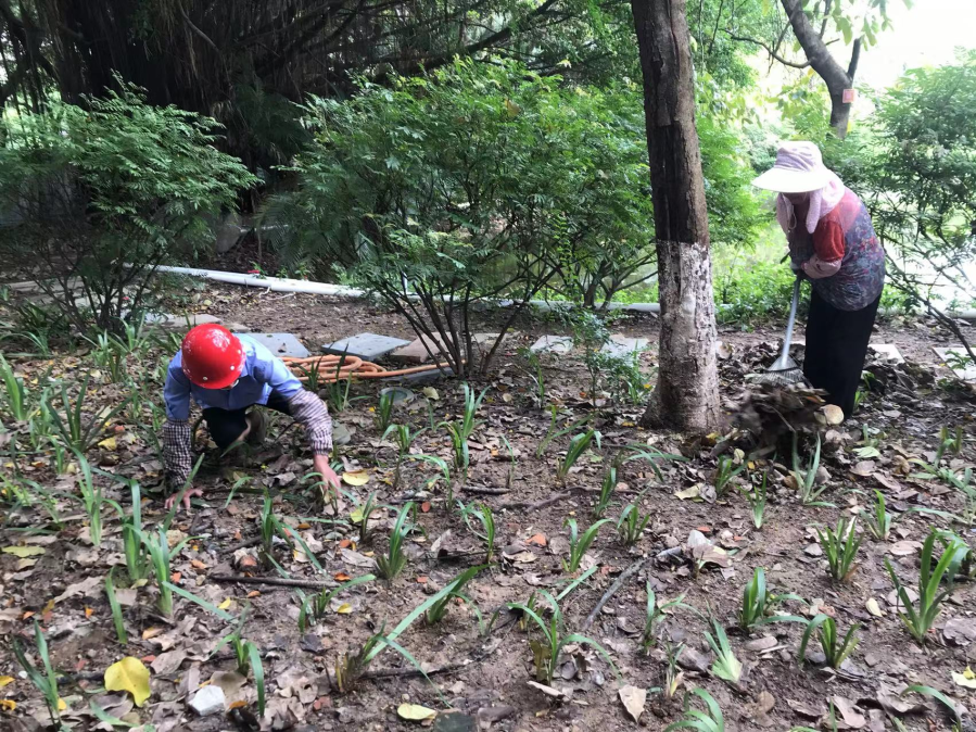 微信圖片_20220627084906.png 微信圖片_20220627084906.png